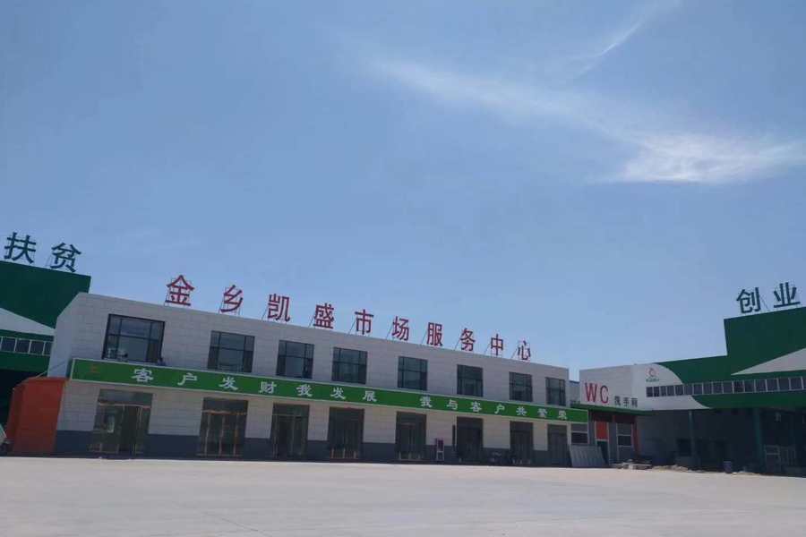 金乡凯盛市场